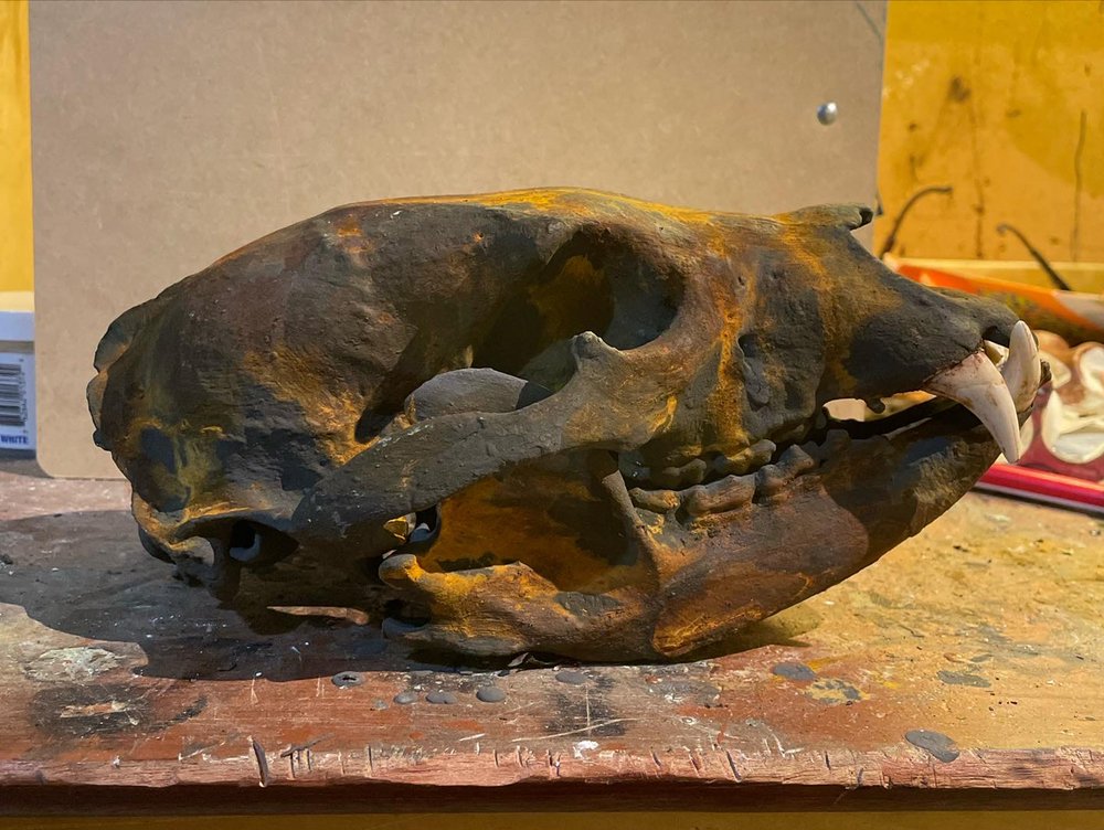 Ambush Skullworks - taxidermy in Hackettstown , NJ