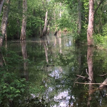 Carpenter Nature Preserve - Parks Near Me - Mansfield, Ohio Carpenter Nature Preserve - Parks Near Me - Mansfield, Ohio
