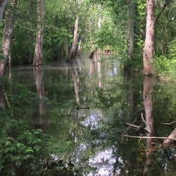 Carpenter Nature Preserve