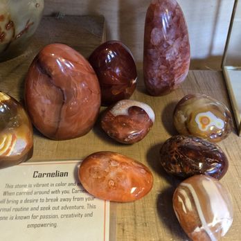 CNL Native Plant Nursery - Gift shop crystals - Nurseries & Gardening Near Me - Mill Valley, California CNL Native Plant Nursery - Gift shop crystals - Nurseries & Gardening Near Me - Mill Valley, California