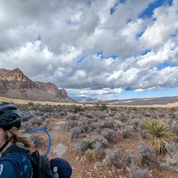 Escape Adventures Bike Tours & Rentals - Tour guide Gavin