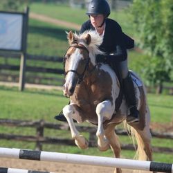 Peirce Equestrian