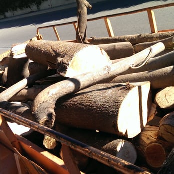 City Wide Landcare - hauling away wood from the ash tree cut down - Tree Services Near Me City Wide Landcare - hauling away wood from the ash tree cut down - Tree Services Near Me