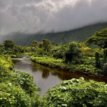 Waipio Valley Shuttle - The river that supplies the water for the village - Tours Near Me - Honokaa, Hawaii