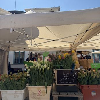 Naschmarkt - Flowers - Public Markets Near Me - Vienna, 9