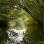 Photo of Wildpark