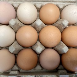 Twin Hills Farm - Organically fed soy-free eggs