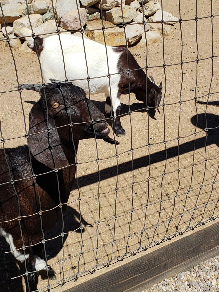 Casa Grande Trading Post & Petting Zoo Logo