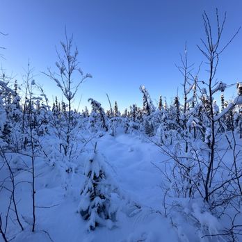 Fairbanks Snow Sleighers - Tours Near Me - Fairbanks, Alaska Fairbanks Snow Sleighers - Tours Near Me - Fairbanks, Alaska