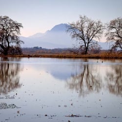 Sutter Buttes Regional Land Trust - Sutter Buttes
a href="mailto:jonbeth44@gmail.com"jonbeth44@gmail.com/a