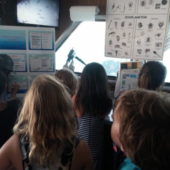 Ocean Institute - On-board classroom lab with microscopes and flat screen monitors. - Venues & Event Spaces Near Me - Dana Point, California Ocean Institute - On-board classroom lab with microscopes and flat screen monitors. - Venues & Event Spaces Near Me - Dana Point, California