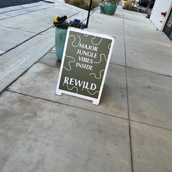 Rewild - outside - Florists Near Me - Washington, DC, District of Columbia