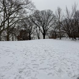 Snow in the Park