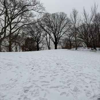 Central Park - Snow in the Park - Parks Near Me - New York, New York