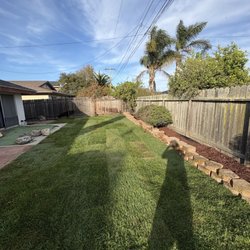 Grass Guys