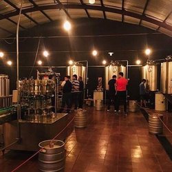 Divaricata - Brewery, fermenter tanks