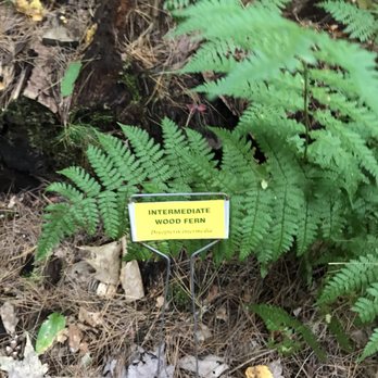 Quincy Bog Natural Area - Parks Near Me - Rumney, New Hampshire