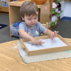 Stuyvesant Heights Montessori - Stuyvesant Heights Montessori