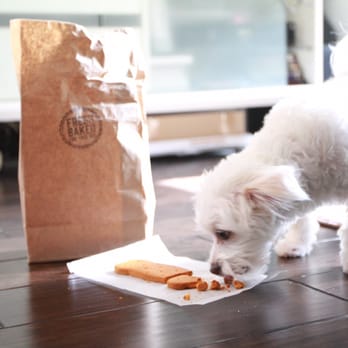 The Dog Bakery - Oh delicious cheese flavor bone cookie - Pet Stores Near Me - Pasadena, California The Dog Bakery - Oh delicious cheese flavor bone cookie - Pet Stores Near Me - Pasadena, California