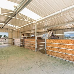Barns, corrals, horses.