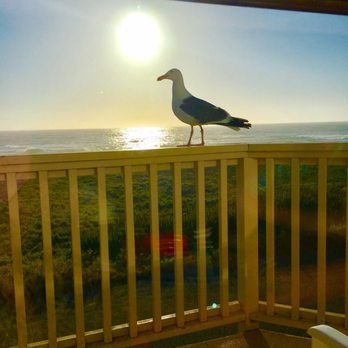 Ocean View Lodge - Our new friend - Hotels Near Me - Fort Bragg, California