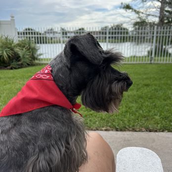 Pets On A Cloud - Pet Groomers Near Me - Saint Cloud, Florida Pets On A Cloud - Pet Groomers Near Me - Saint Cloud, Florida