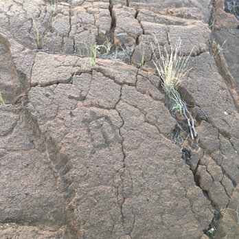 Puako Petroglyph Archeological Park - A honu, I believe :) - Parks Near Me - Waimea, Hawaii