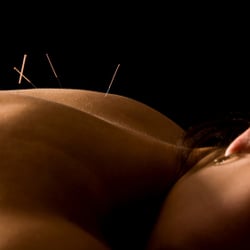 Waltham Holistic Clinic