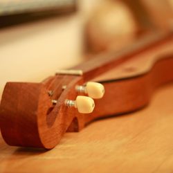 Montessori Community School - Instruments in music room