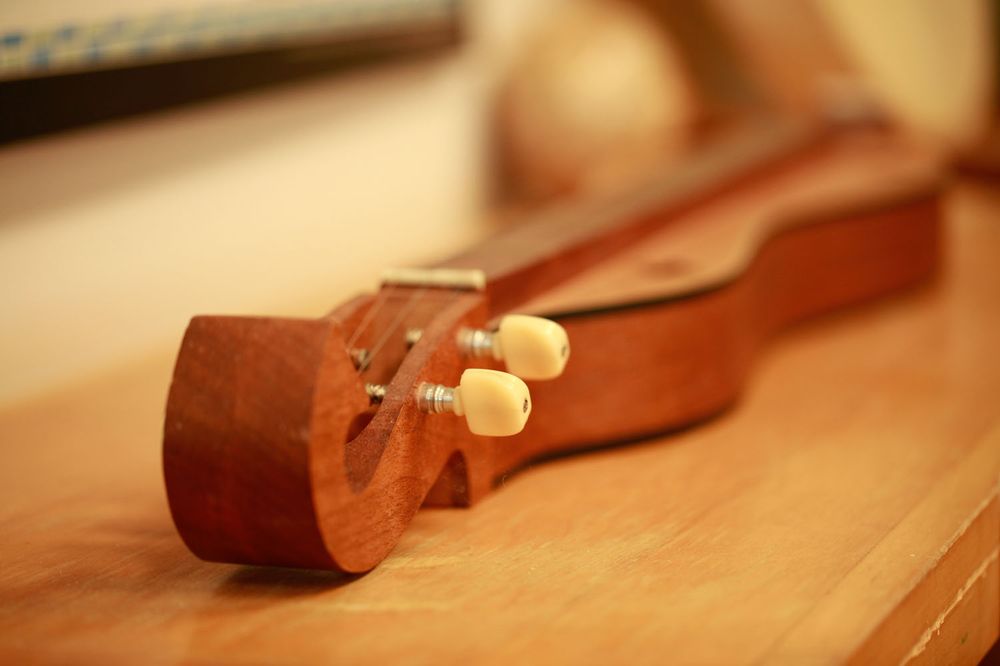 Montessori Community School - childcare center in Durham, NC