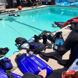 Little lunch break on pool day! Little lunch break on pool day!