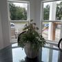 Photo of Arch's Glass