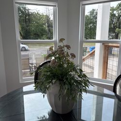 Arch's Glass - New windows!!