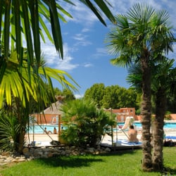 la palmeraie - L'espace piscine