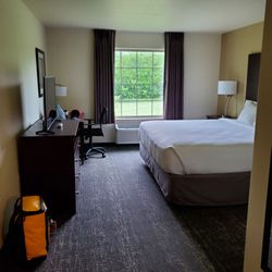 Cobblestone Hotel & Suites - Urbana - Room on check in