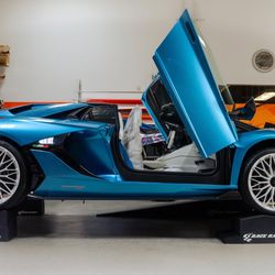 Proline Wraps