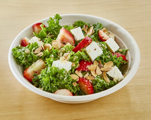 Montagu's Gusto by null