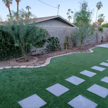 Baudelio Gardening - 2 palo verde trees purchased & planted by Baudelio Gardening. - Tree Services Near Me - Cathedral City, California