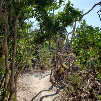 Long Key State Park - Parks Near Me - Layton, Florida
