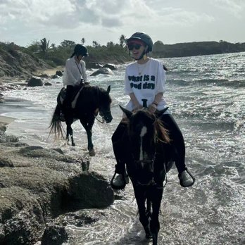 Esperanza Riding Company - Horseback Riding Near Me - Vieques, Puerto Rico Esperanza Riding Company - Horseback Riding Near Me - Vieques, Puerto Rico