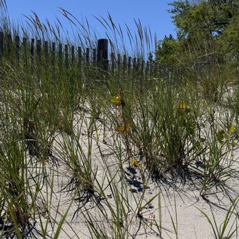 Sodus Point Beach - Cozy fence view on the beach - Beaches Near Me - Sodus Point, New York