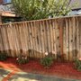 Photo of Martin Gardening Services