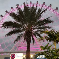 I -Drive Bike Rental & Sales - We are located directly in front of the picturesque Orlando Eye at i drive 360
