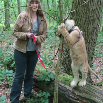 Amazing Animals - Lydia and me Joanne.  Lydia loving the tree. - Zoos Near Me - Chipping Norton, OXF