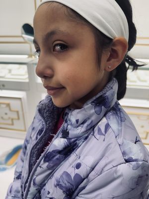 The Apollo Tattoo & Piercing Studio by null