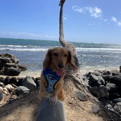 Hauula Beach Park