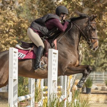 Open Arms Farm - Horseback Riding Near Me - Sylmar, California Open Arms Farm - Horseback Riding Near Me - Sylmar, California