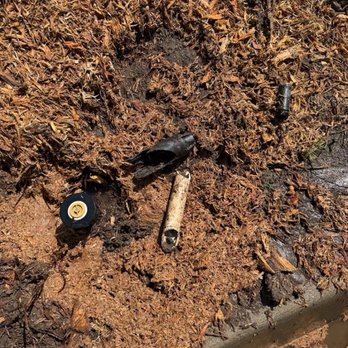 Discount Tree Care Arborist - Broke my sprinklers - Tree Services Near Me - Long Beach, California Discount Tree Care Arborist - Broke my sprinklers - Tree Services Near Me - Long Beach, California