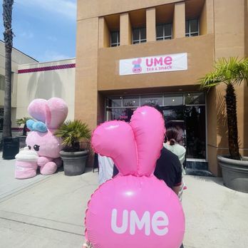 Ume Tea - Coffee & Tea Near Me - San Jose, California Ume Tea - Coffee & Tea Near Me - San Jose, California