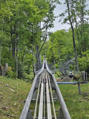 Wilderness Run Alpine Coaster by null